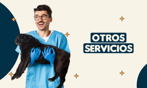 Otros Servicios
